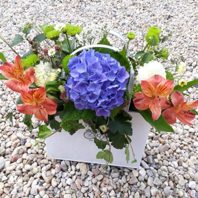 flower box hortenzie